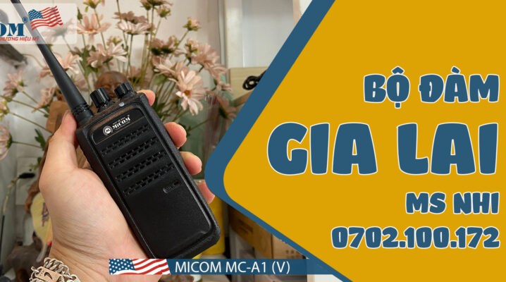 BỘ ĐÀM TẠI PLEIKU - GIA LAI